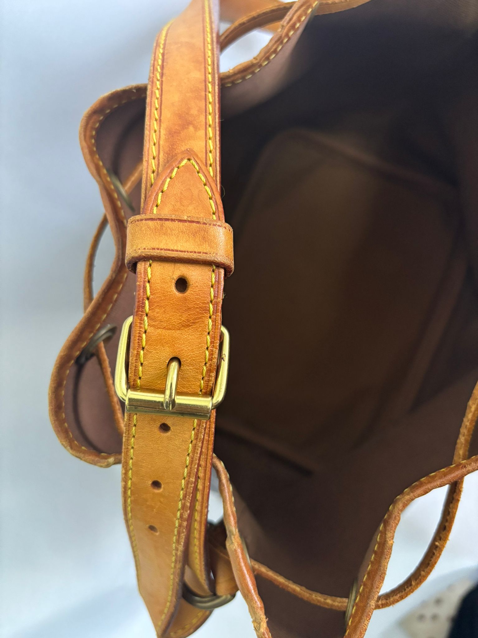 Louis Vuitton Sac Noé Petit